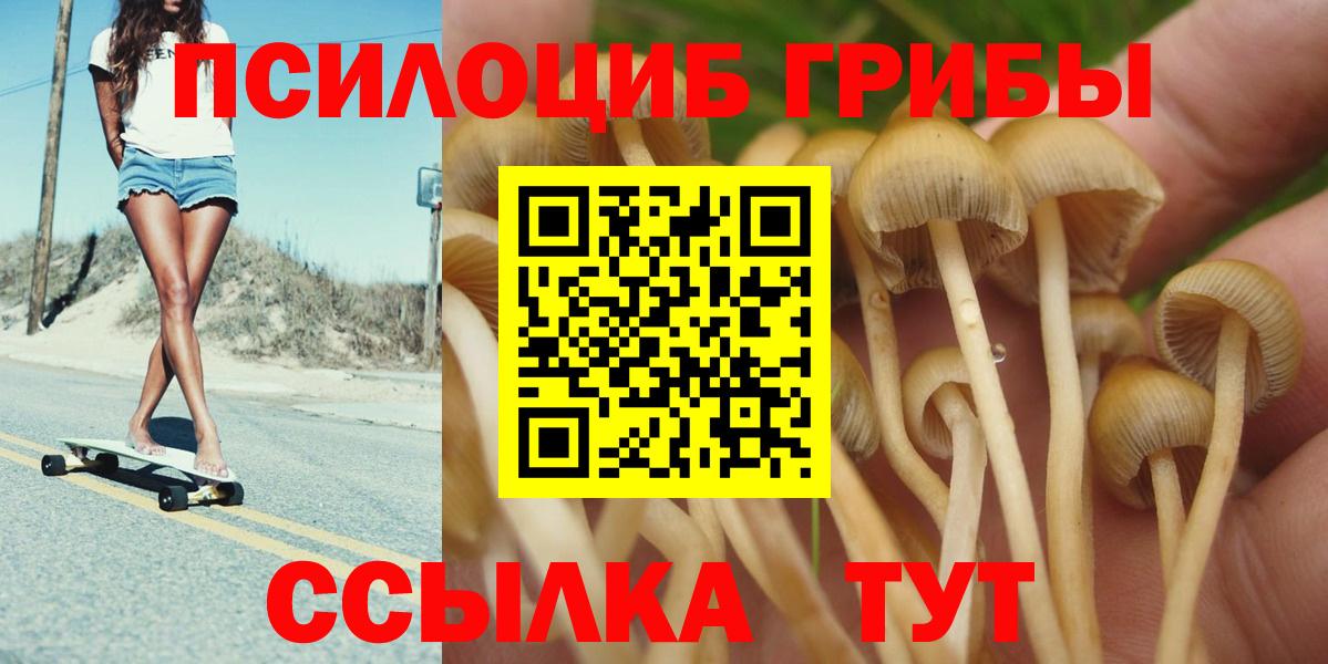 Псилоцибиновые грибы Psilocybe Удомля