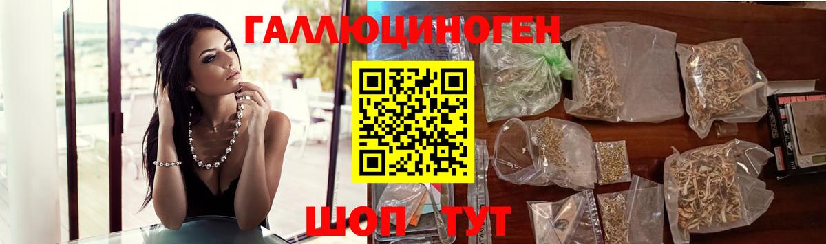 Псилоцибиновые грибы MAGIC MUSHROOMS  Вход с VPN  Удомля 